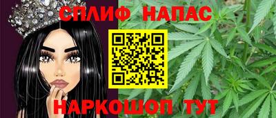 шишки Гудермес