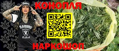 шишки Гудермес