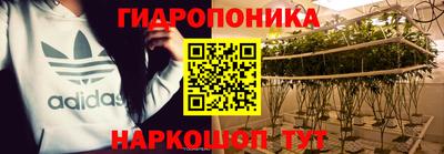 эйфоретик Гулькевичи